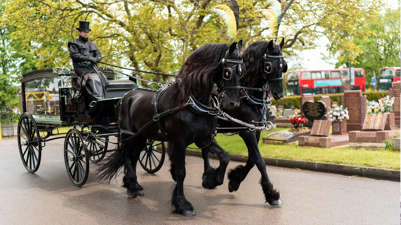 HORSES-NEW-FINAL-1